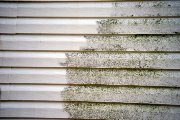 Best Demolition Debris Removal  in Cvallis, OR